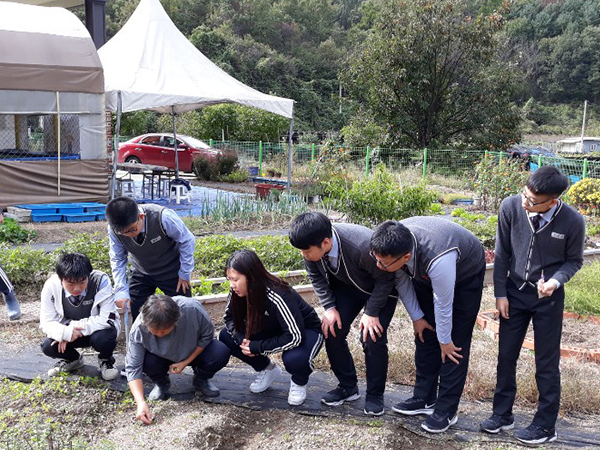 농장가꾸기 수업 사진